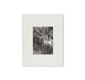 FAREWELL HORSE by Roe Ethridge