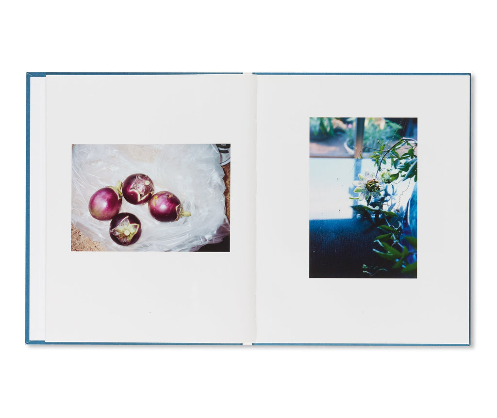 ONE DAYS by Miyako Ishiuchi