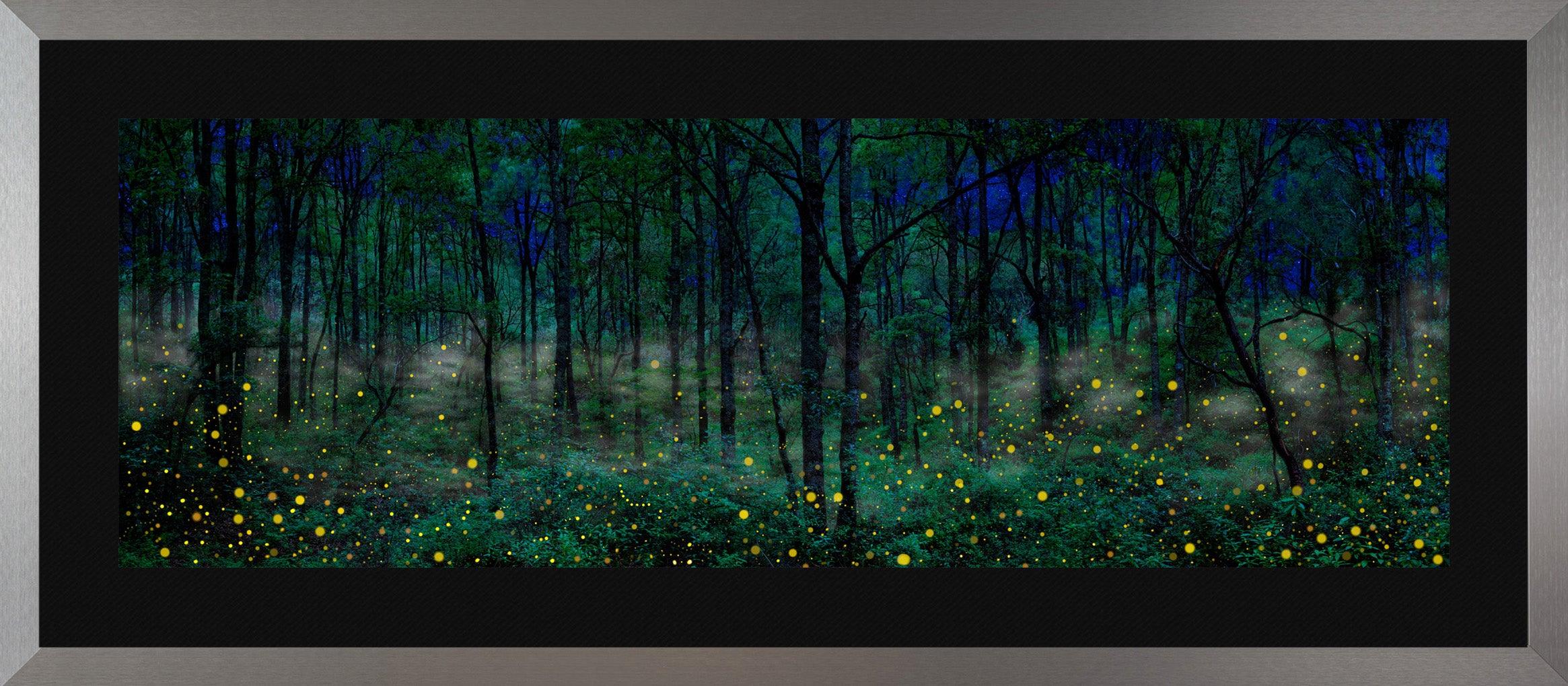 Night Dreamers