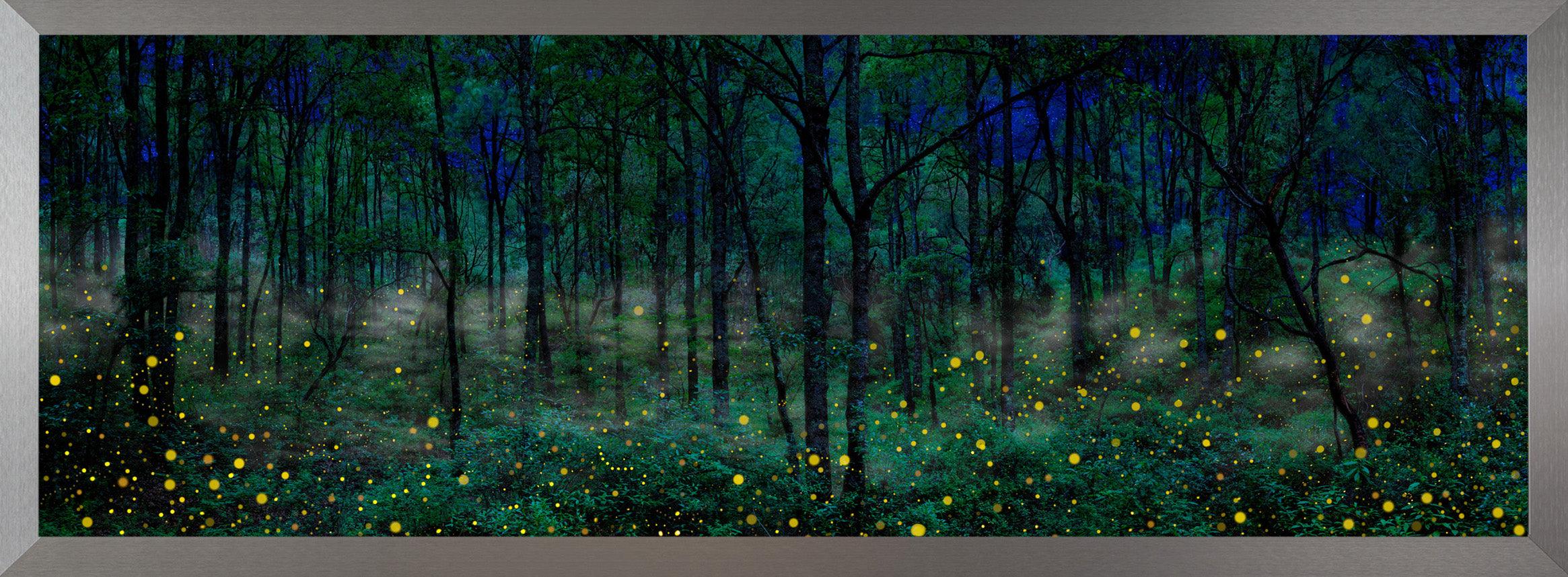 Night Dreamers
