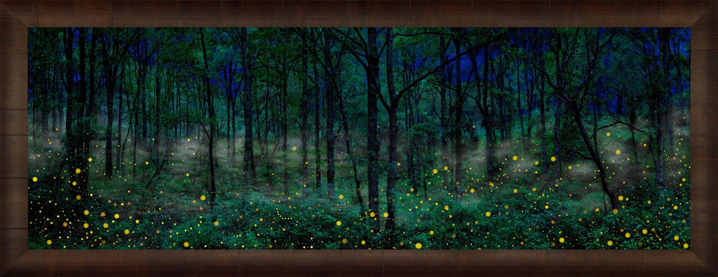 Night Dreamers
