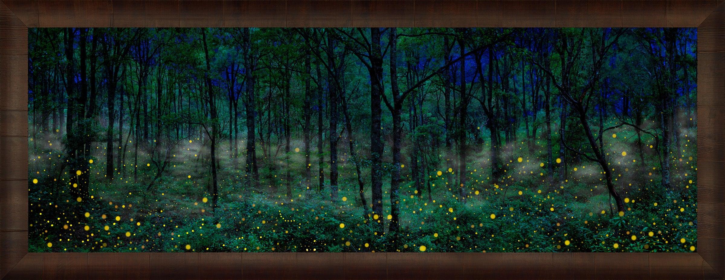 Night Dreamers