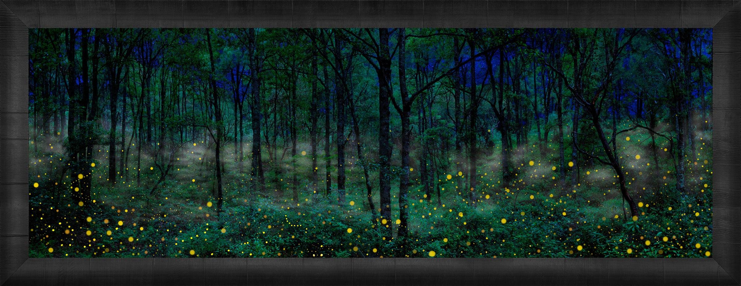 Night Dreamers