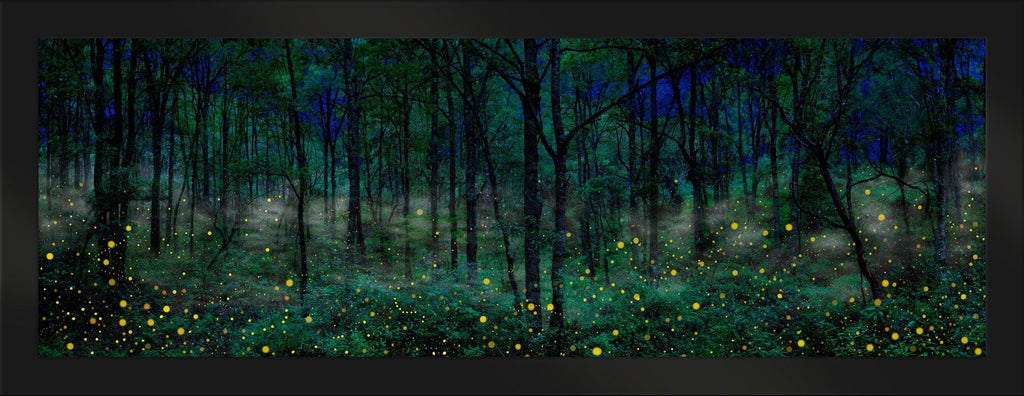 Night Dreamers