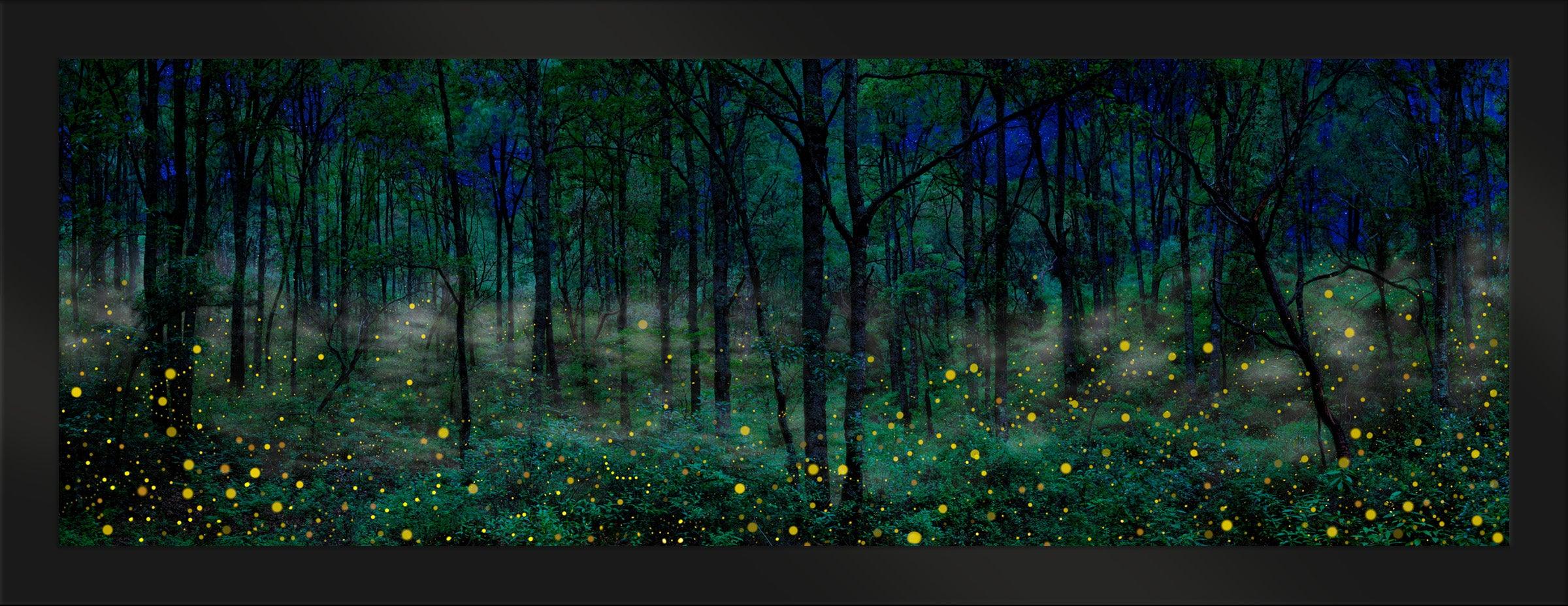 Night Dreamers