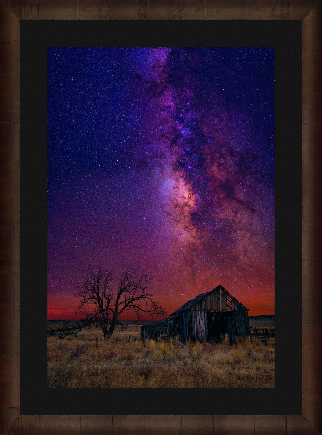 Night Dreams