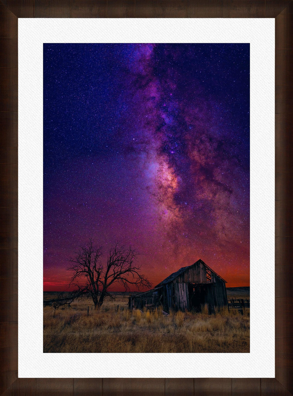 Night Dreams