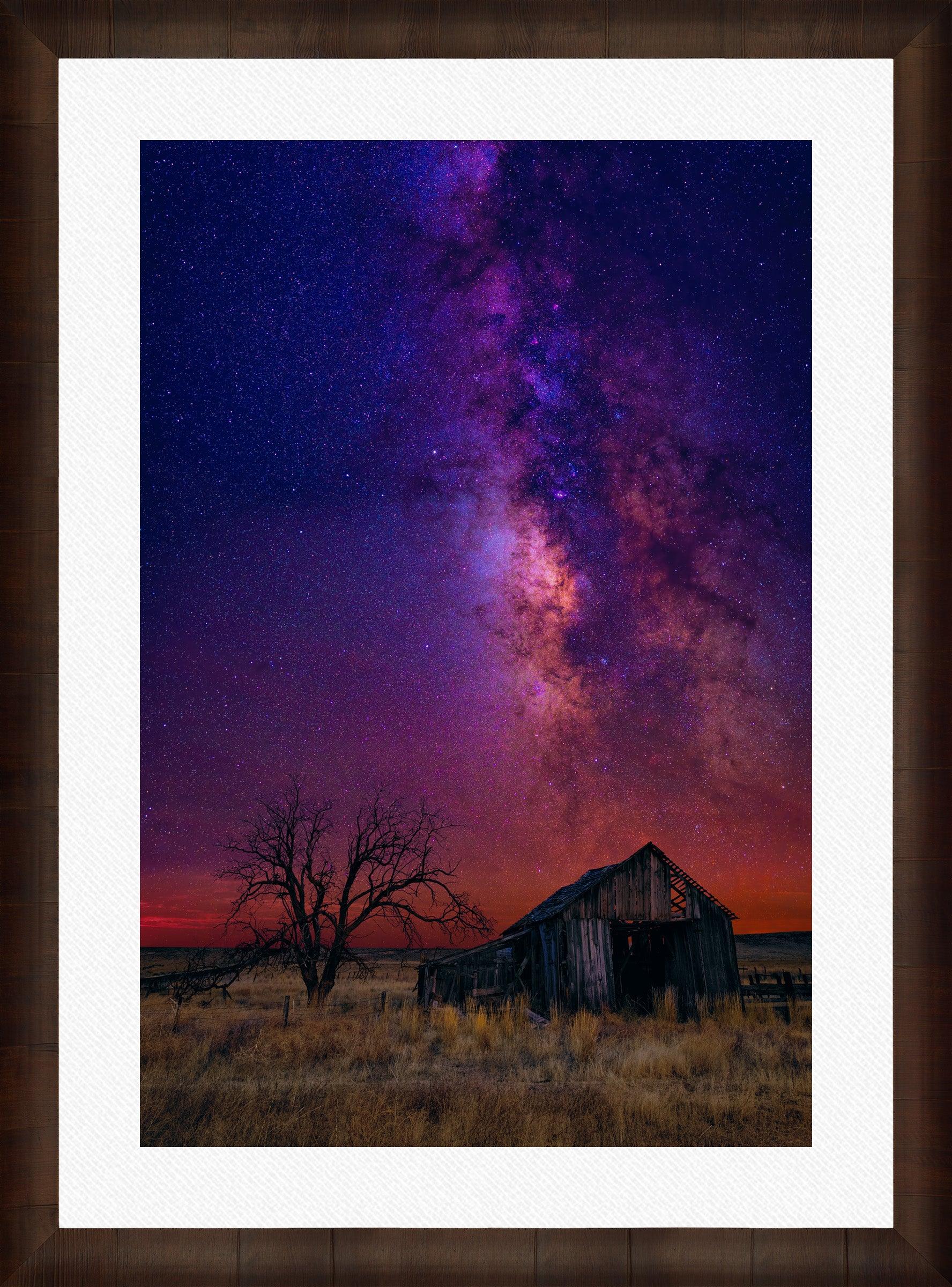 Night Dreams