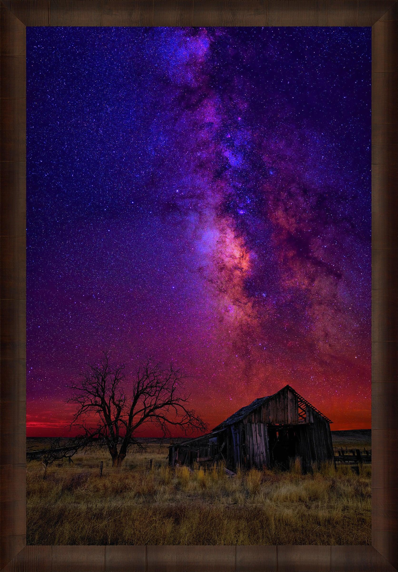 Night Dreams