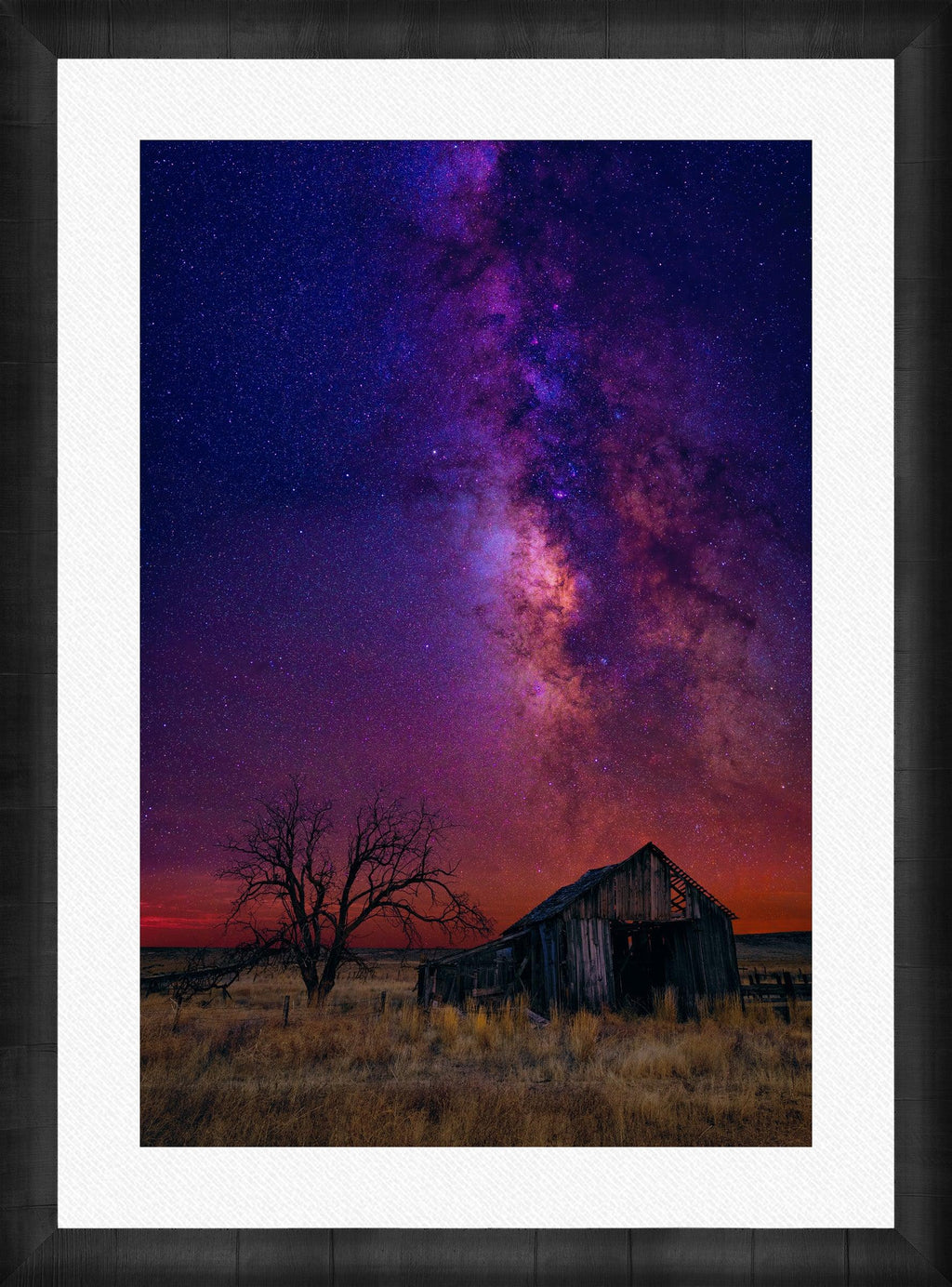 Night Dreams