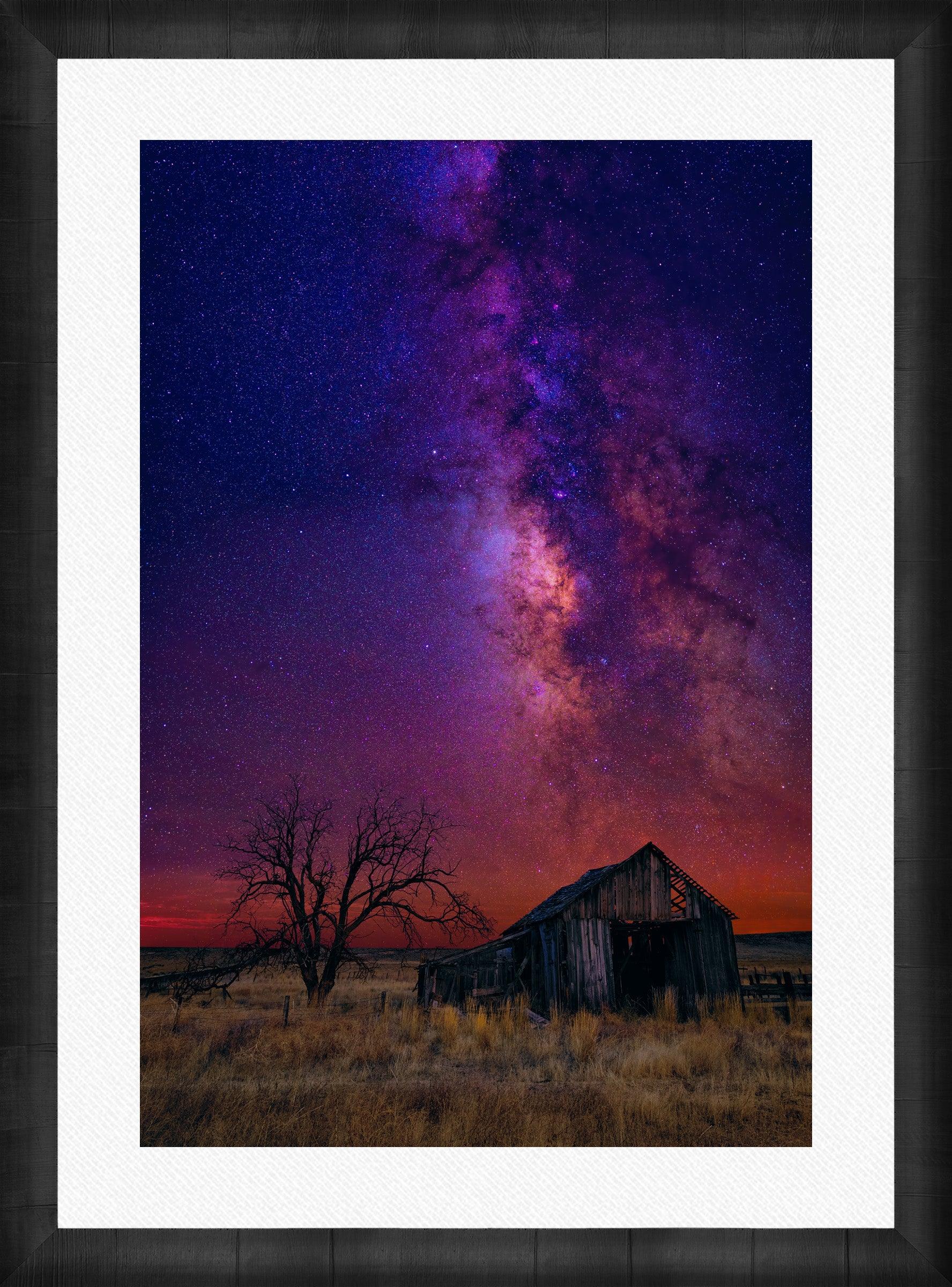 Night Dreams