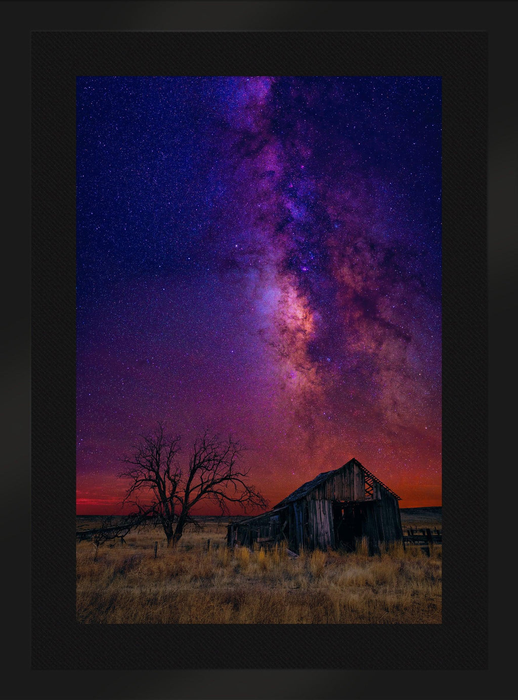 Night Dreams