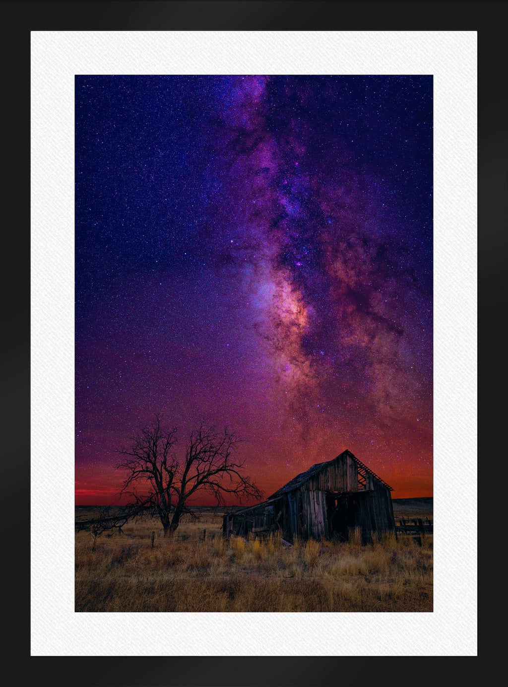 Night Dreams