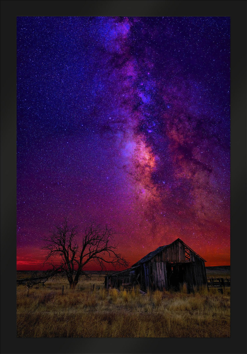 Night Dreams