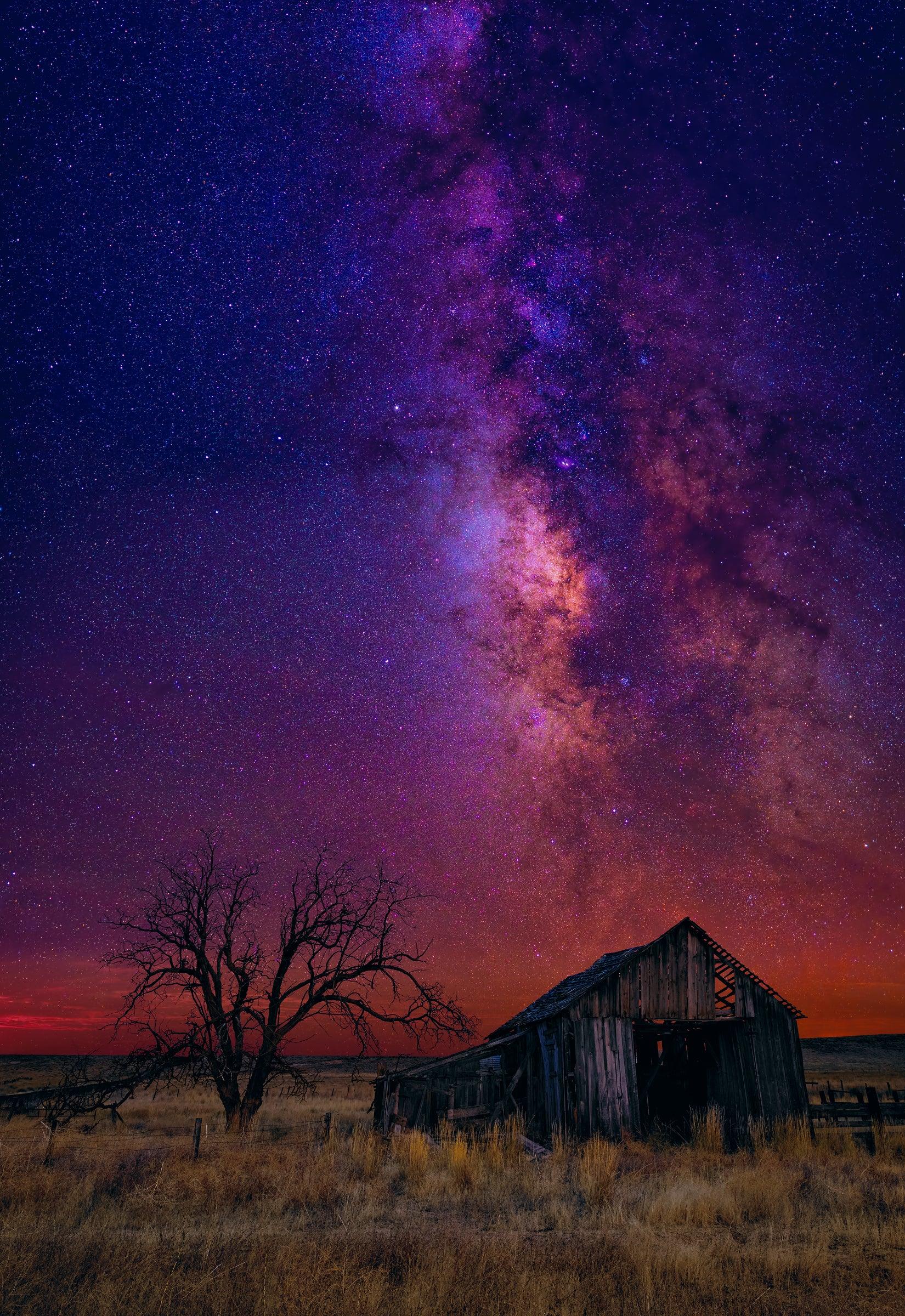 Night Dreams