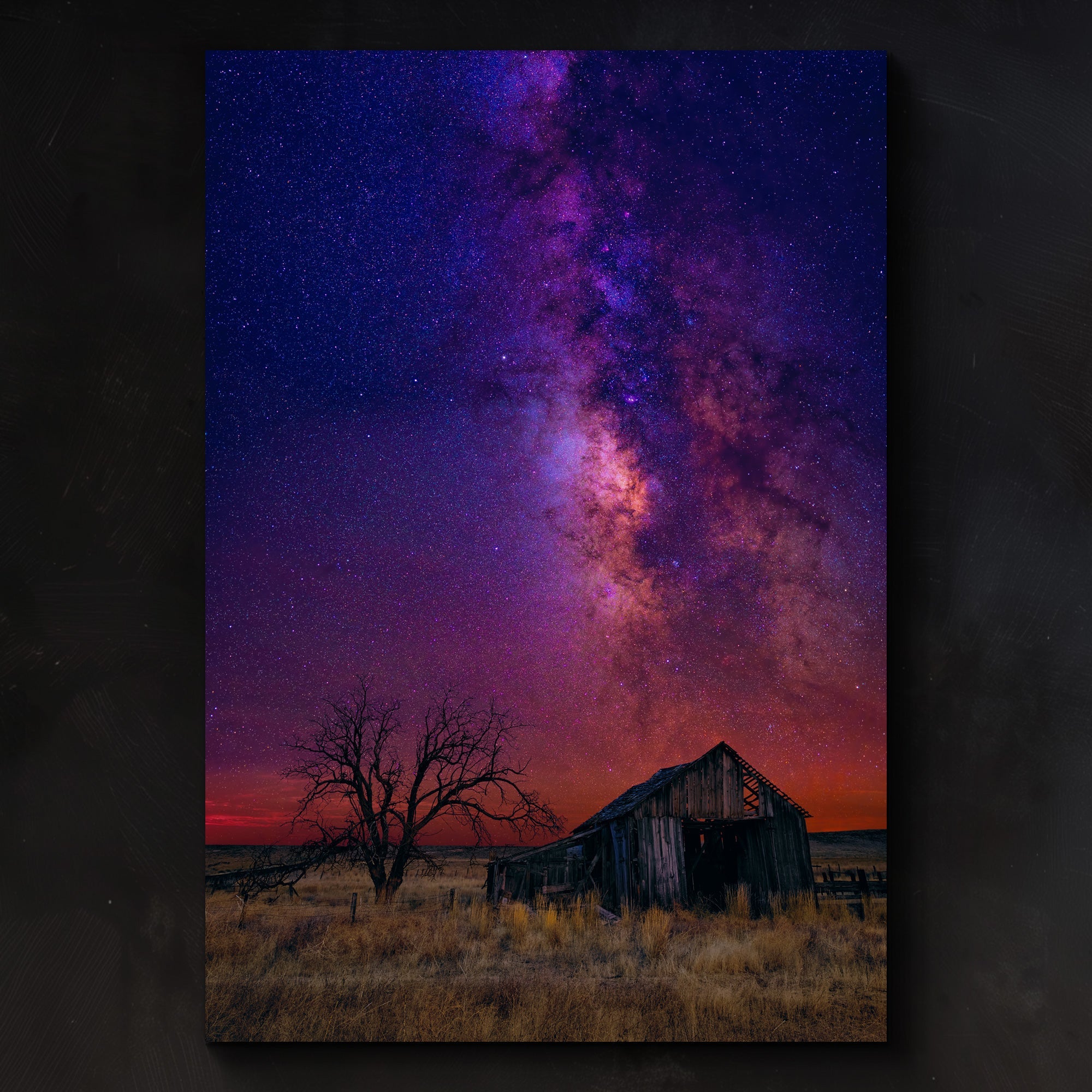 Night Dreams