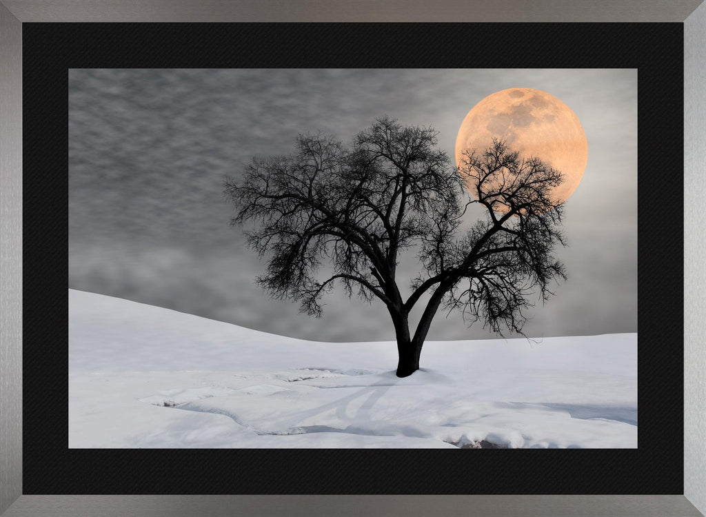 Night Shadow