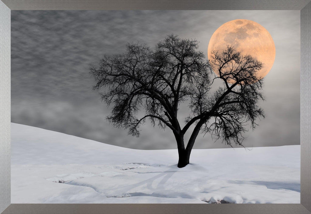 Night Shadow