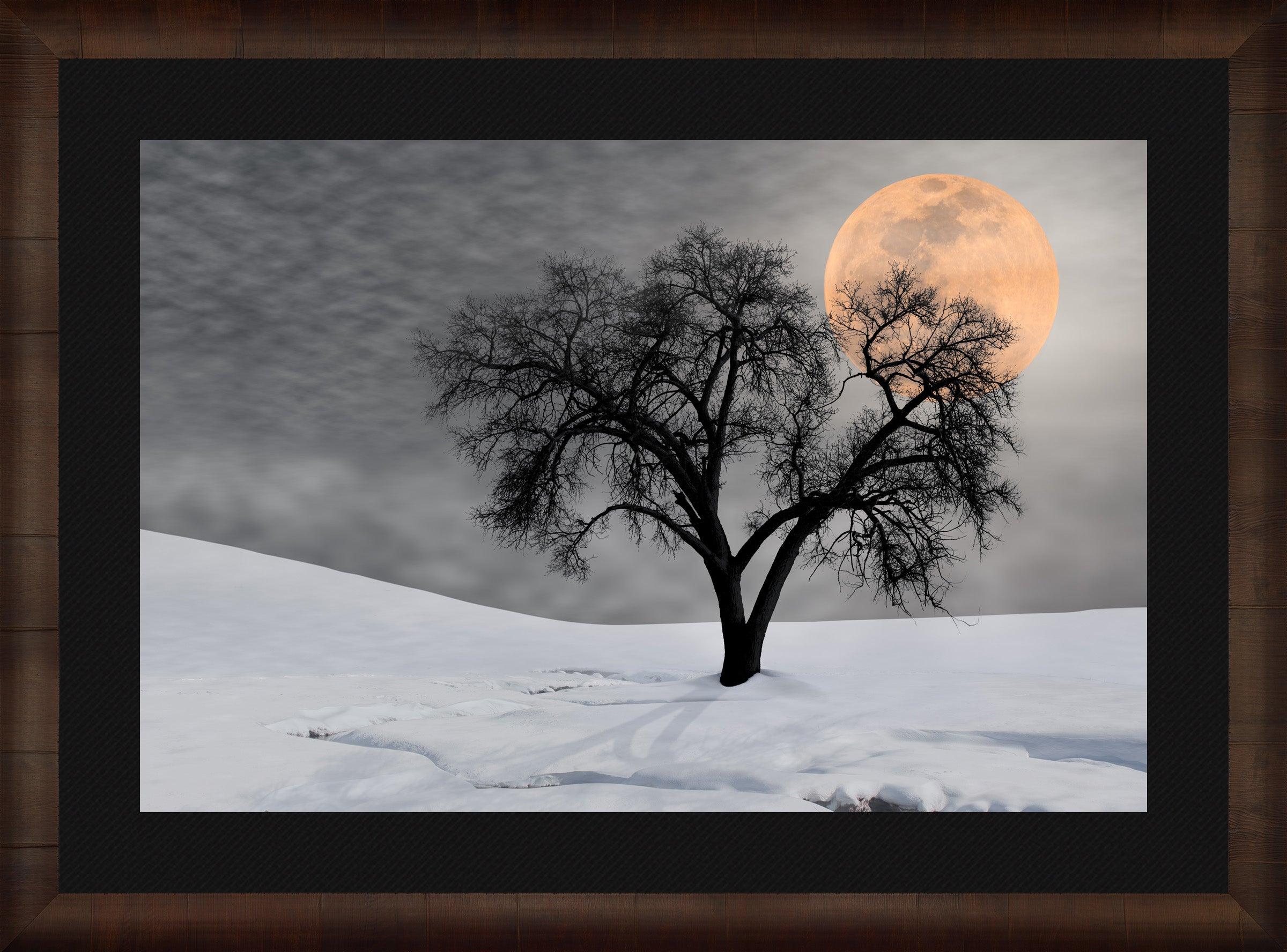 Night Shadow