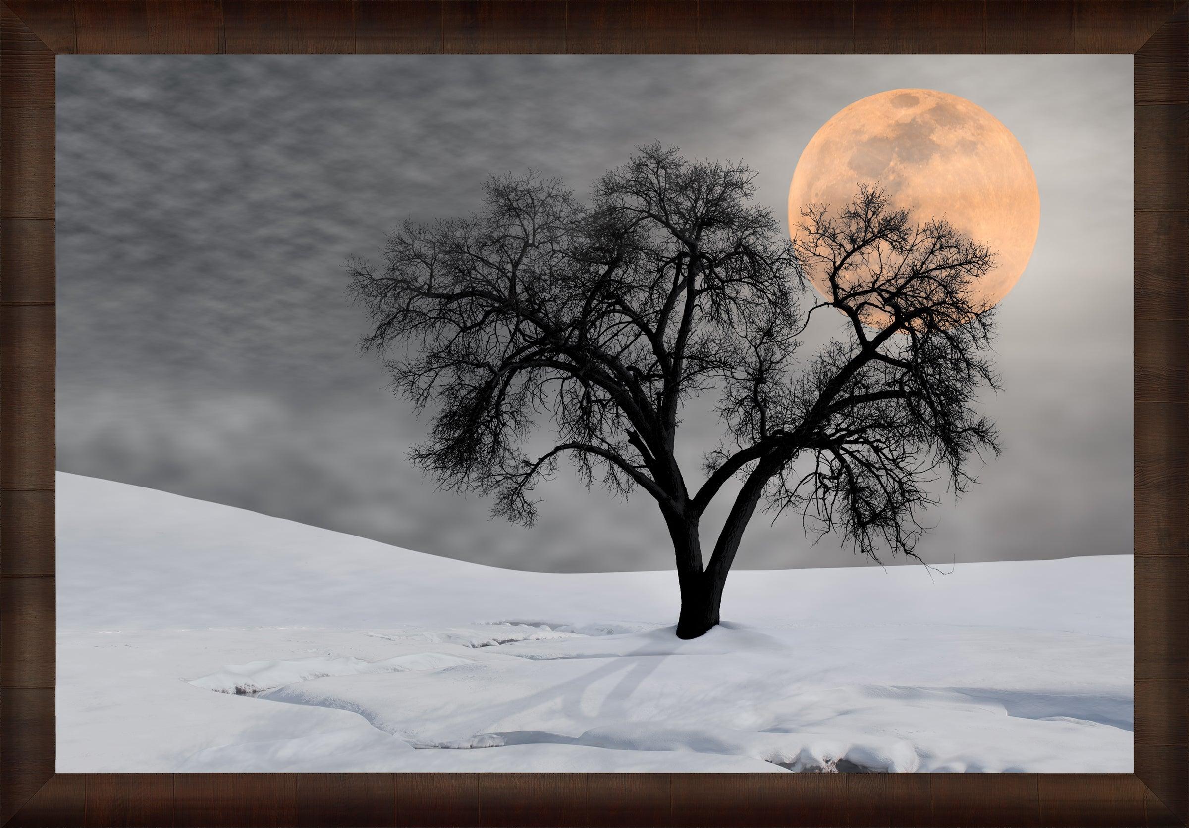 Night Shadow