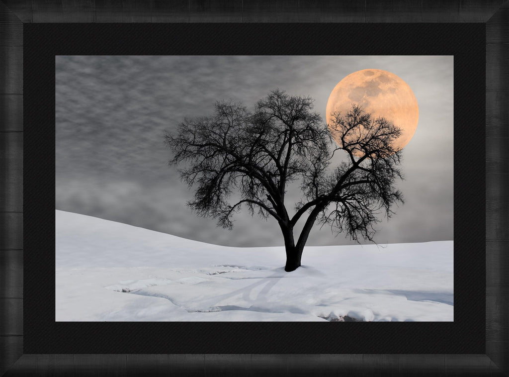 Night Shadow