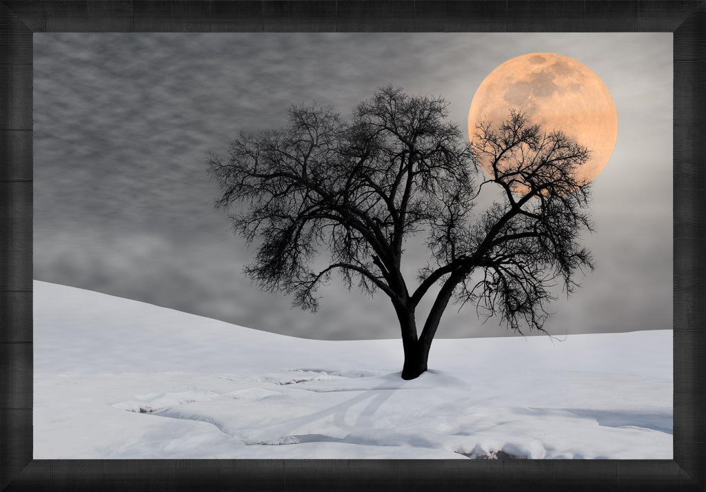 Night Shadow