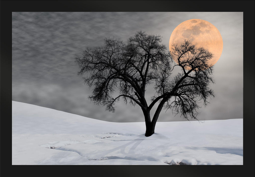 Night Shadow